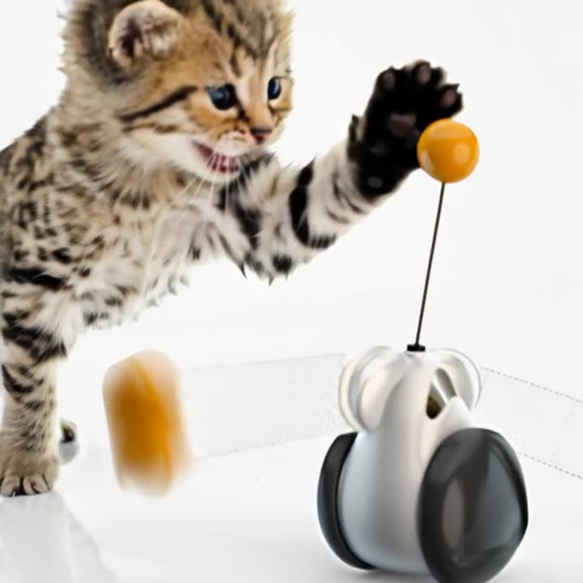 Tumbler Balanced Wheel Swinging Ball Cat Toy